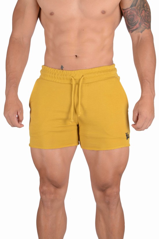 Youngla 102 Bodybuilding French Terry Uomo Pantaloncini Gialle | UD8251796