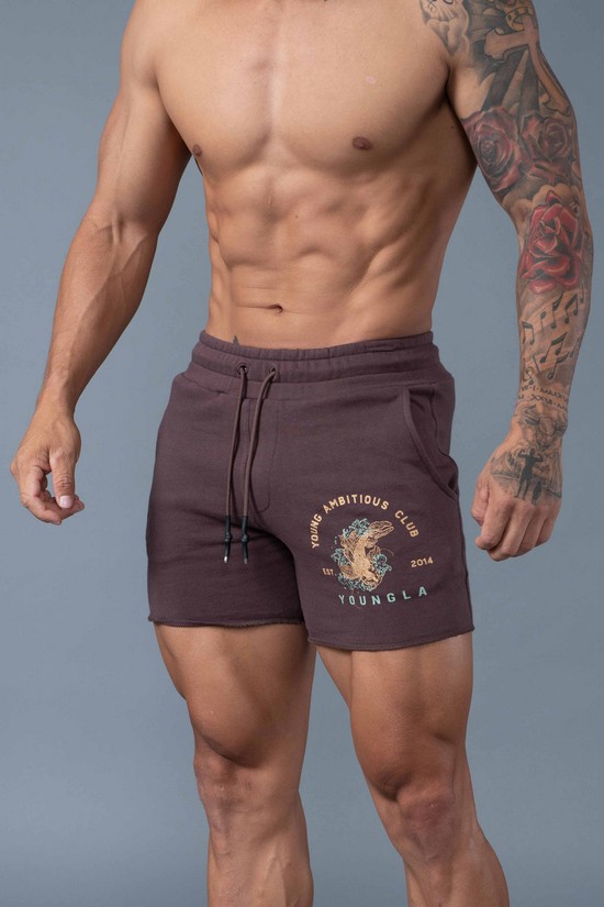 Youngla 111 Dedication Uomo Pantaloncini Caffè | GC1049782