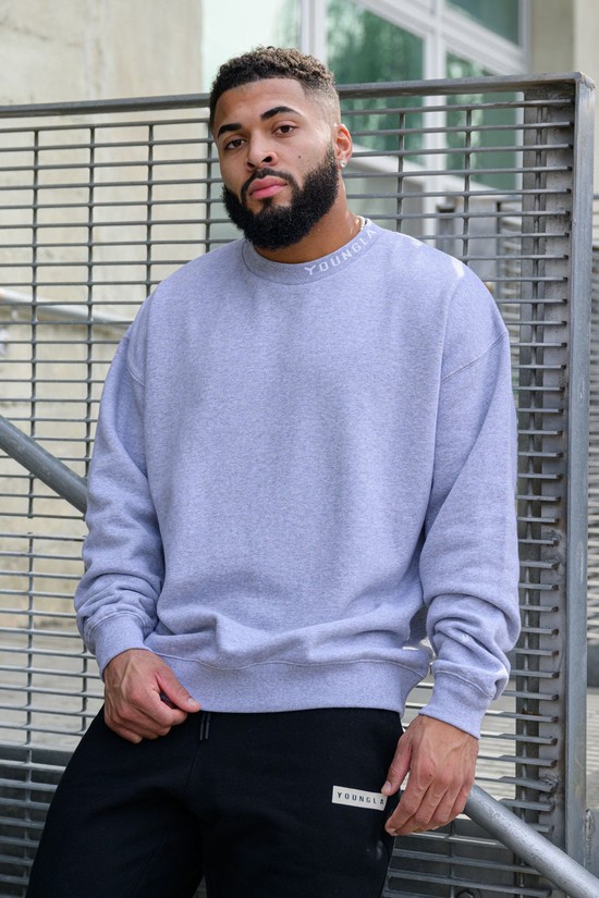 Youngla 557 Trademark Crewnecks Uomo Felpe Grigie | QY7013549