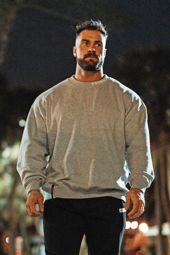 Youngla 557 Trademark Crewnecks Uomo Felpe Grigie | WH3419075